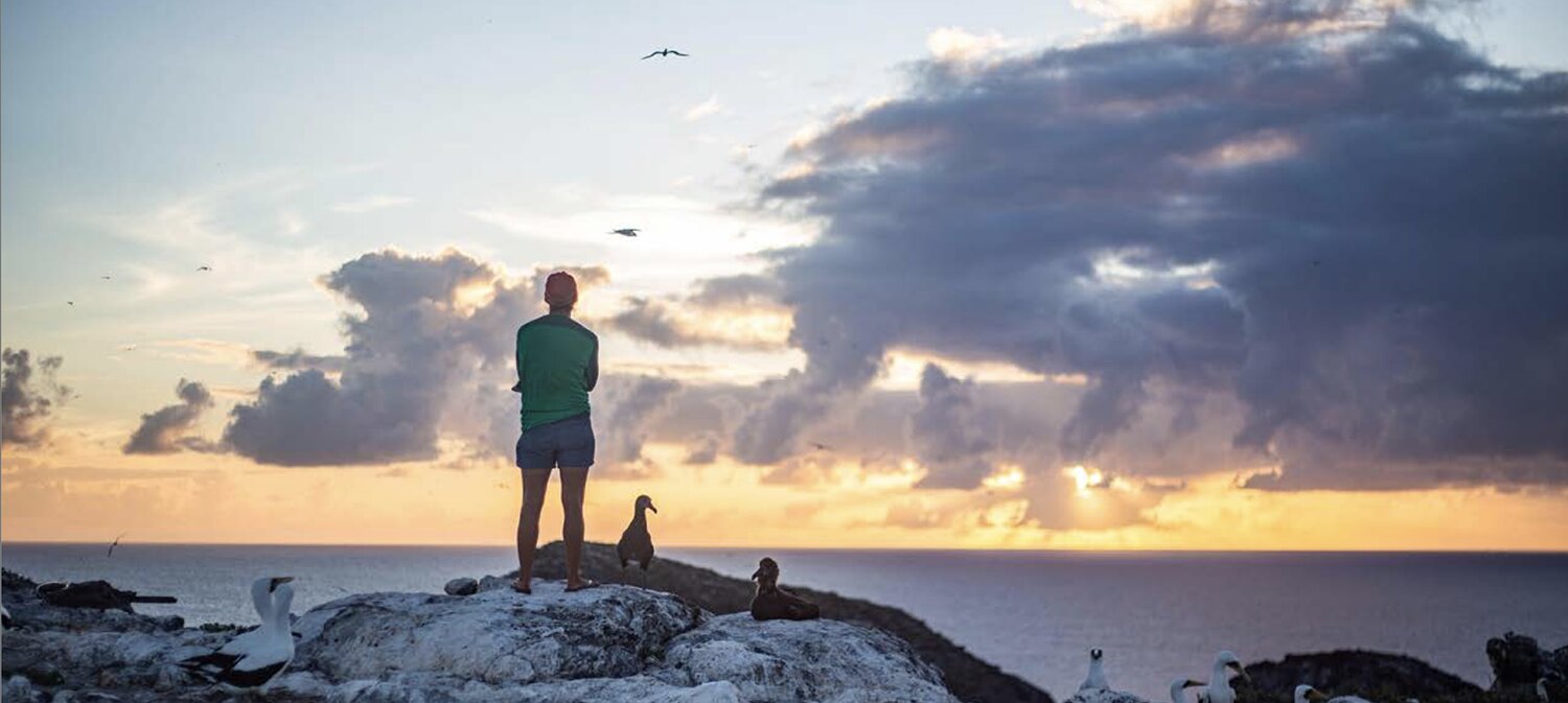A person stands on a rocky ocean islet at sunset.