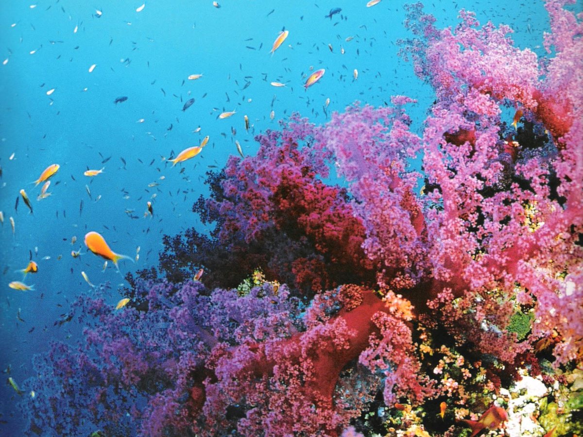 Ocean research and management work.